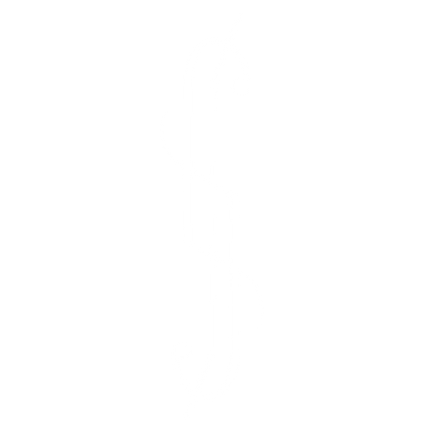 Saints street wear